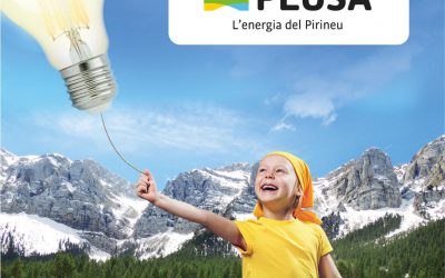 Posem en marxa la contractació d’energia 100% verda per via digital