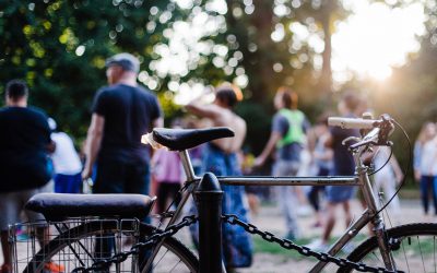 Apunta’t al voluntariat mediambiental a l’estiu!