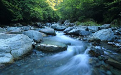 L’energia hidràulica procedent dels rius: com aprofitar una font autòctona i neta