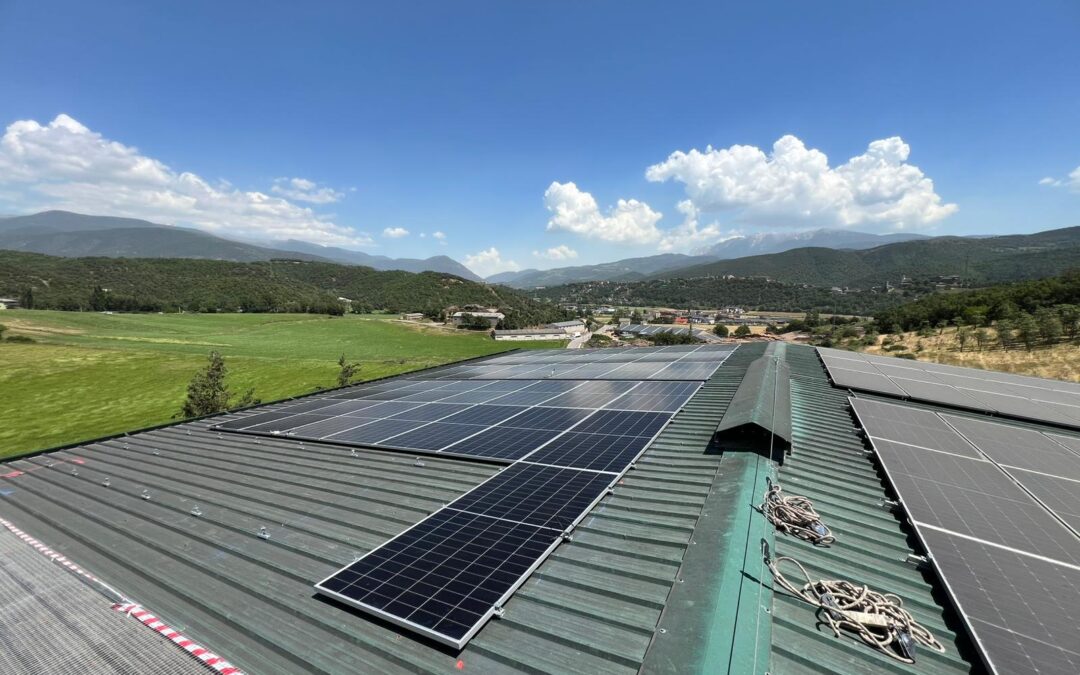 Las ventajas de un buen mantenimiento de placas solares: ¡más producción, más ahorro!